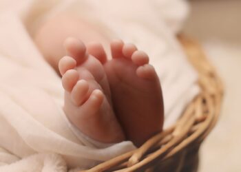 Mother Arrested for Attempted Murder After Abandoning Newborn in Suwon