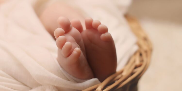 Mother Arrested for Attempted Murder After Abandoning Newborn in Suwon