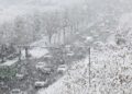 South Korea Battles Historic Snowfall: Five Dead, Widespread Disruptions