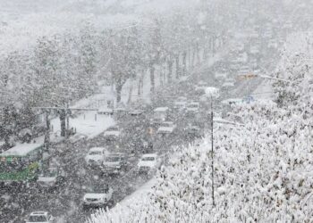 South Korea Battles Historic Snowfall: Five Dead, Widespread Disruptions
