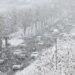 South Korea Battles Historic Snowfall: Five Dead, Widespread Disruptions