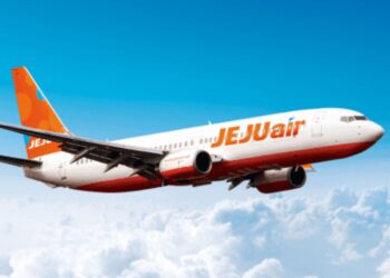 Experts Question Safety Measures as Muan Airport Crash Claims 179 Lives