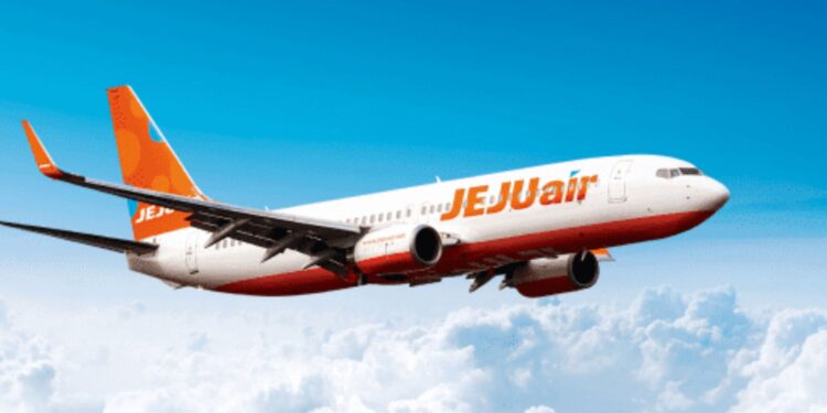 Experts Question Safety Measures as Muan Airport Crash Claims 179 Lives